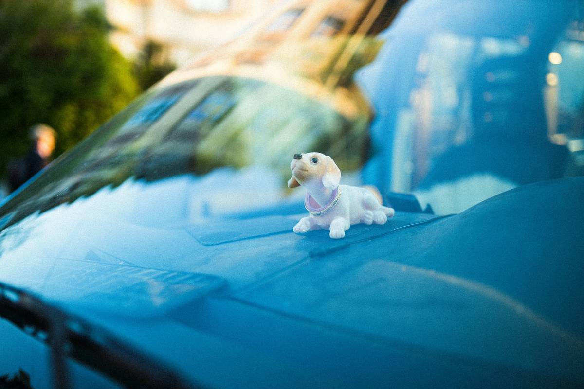 Good dog auto glass being cleaned with microfiber cloth and pet-safe solution